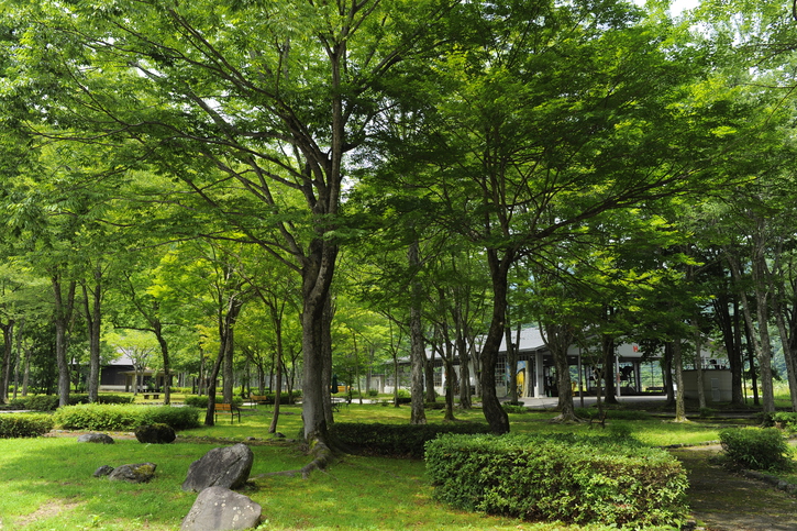 写真：楽天トラベル