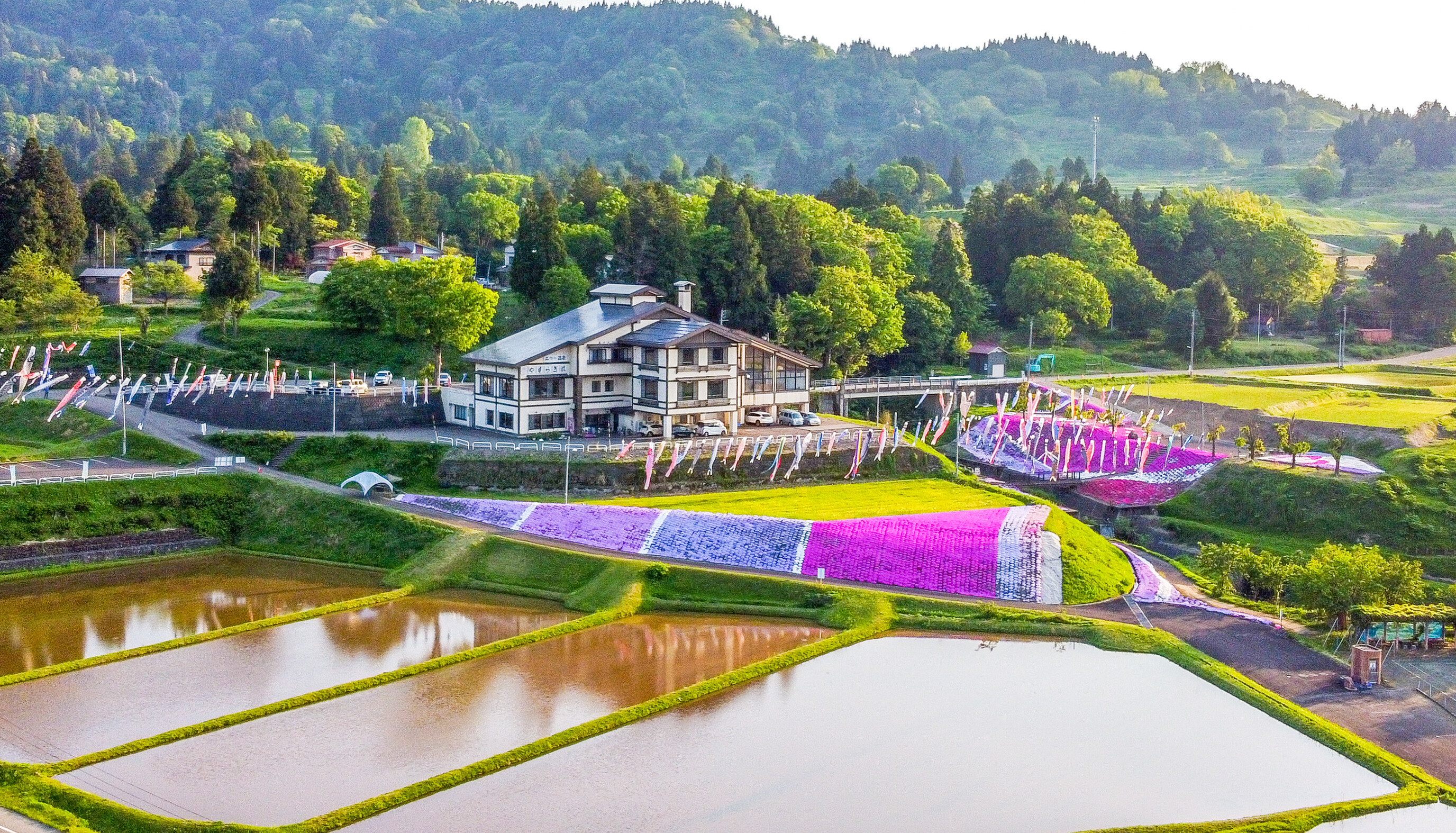 写真：楽天トラベル