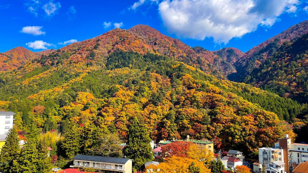 ほったらかしの宿 ゆうふり那須塩原 写真