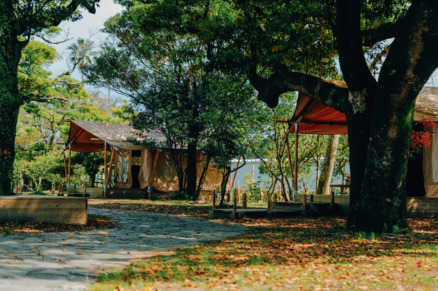 ASOHIMA PICNIC CLUB FOREST CAMP AREA 写真