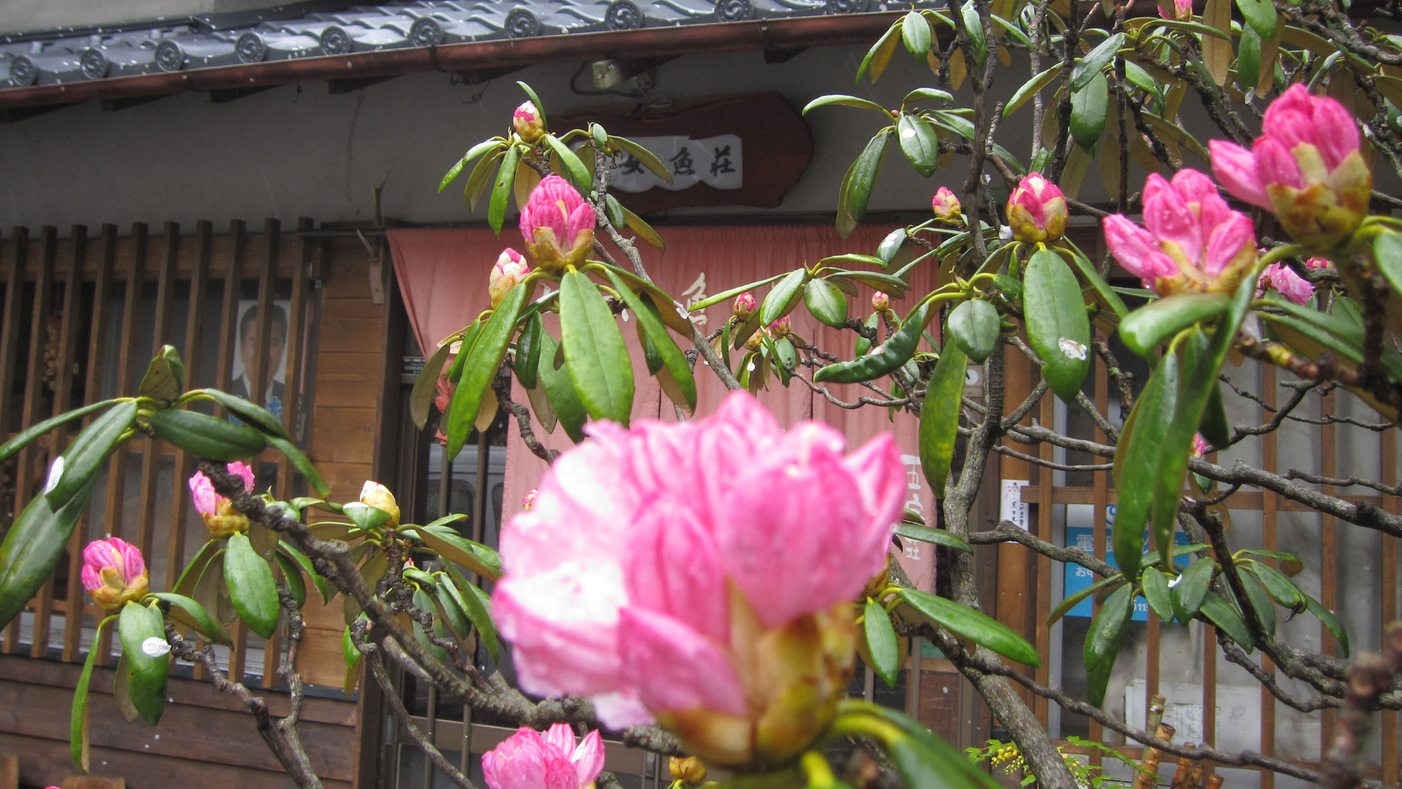 写真：楽天トラベル