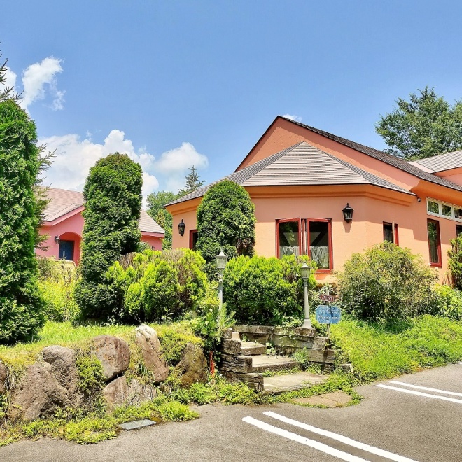HAMIRU’S FOREST with DOG