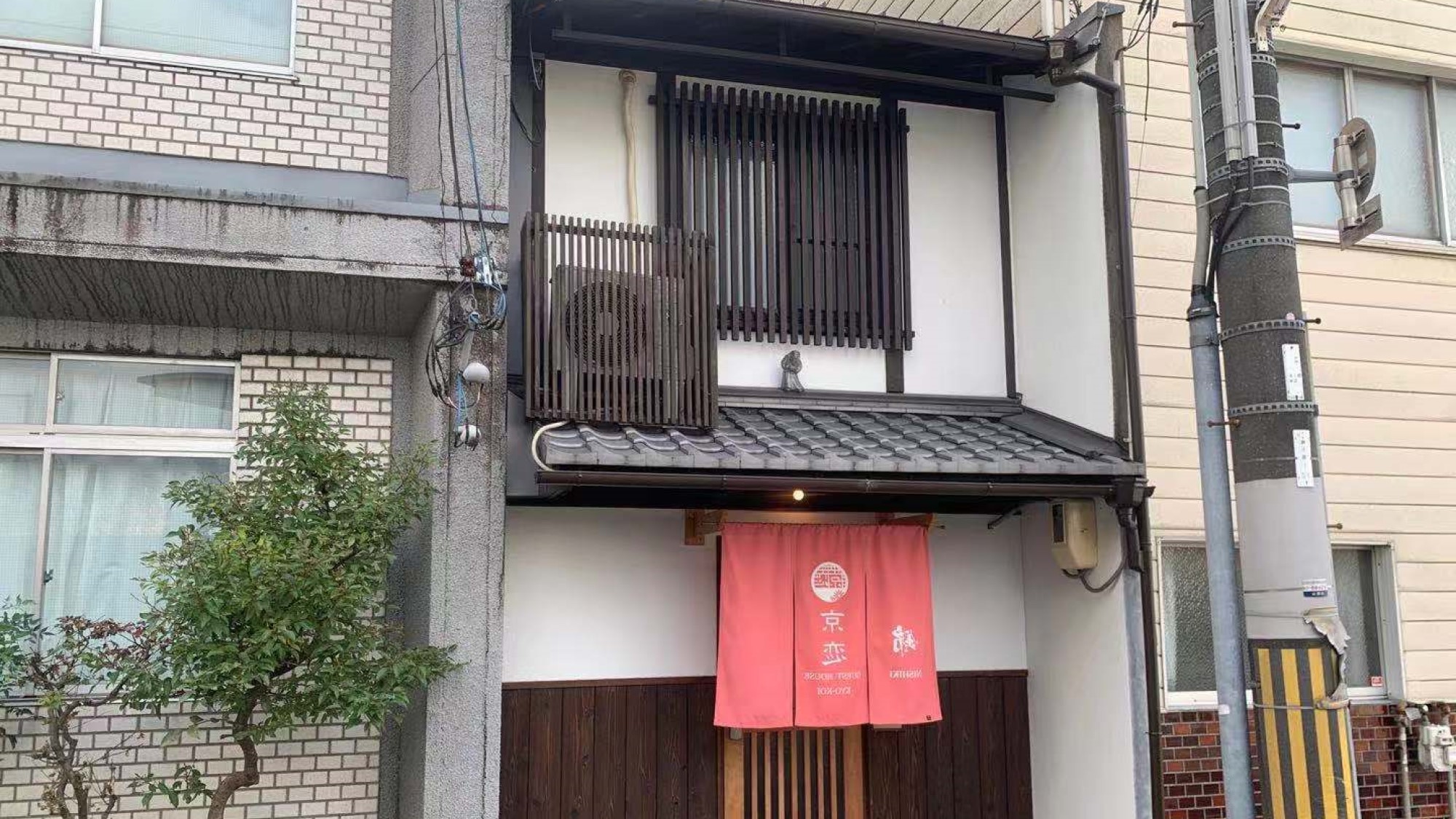 京恋 錦