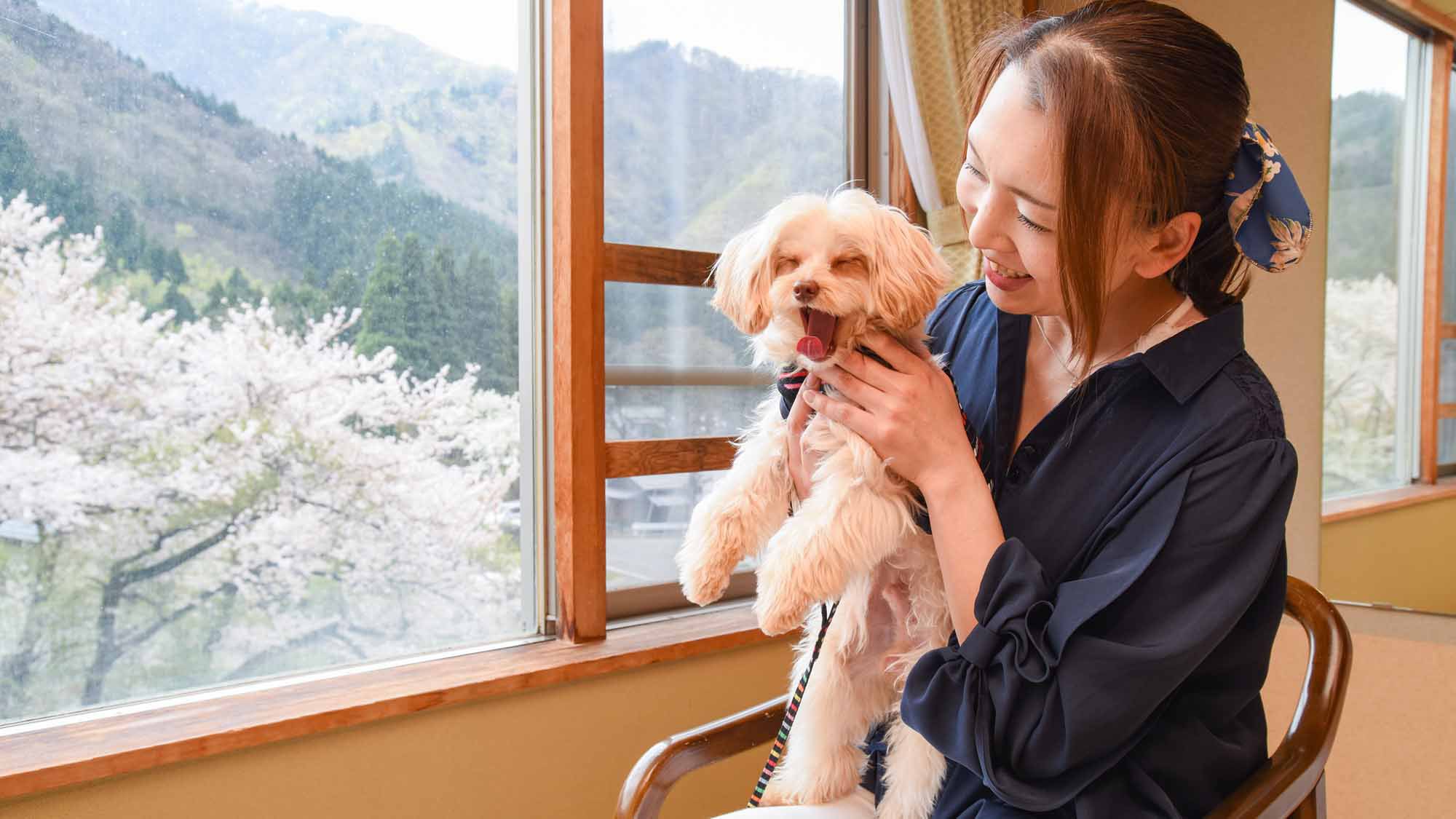 写真：楽天トラベル