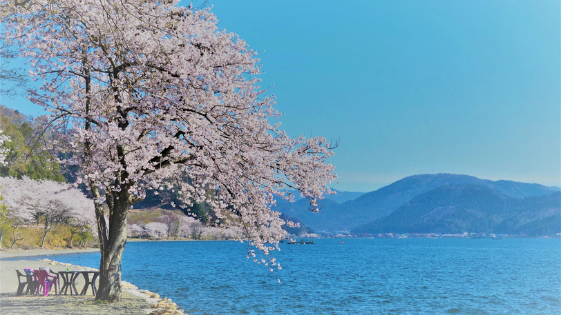 写真：楽天トラベル