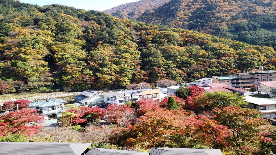 塩原温泉ホテルおおるり 写真