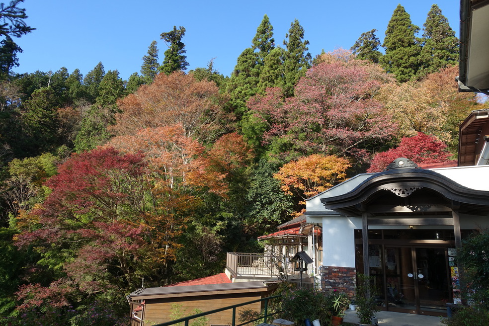 写真：楽天トラベル