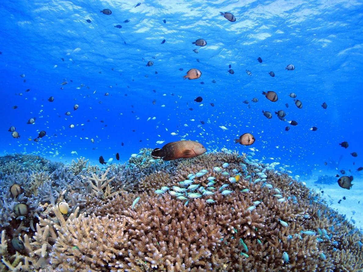 写真：楽天トラベル