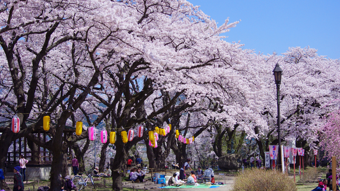 写真：楽天トラベル