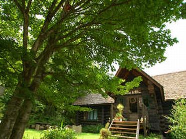 蒜山グランピングコテージ 森の散歩