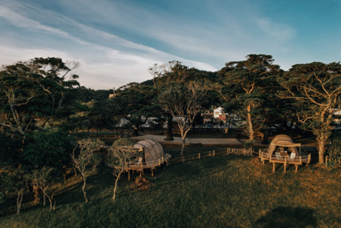 ASOHIMA PICNIC CLUB FOREST CAMP AREA 写真