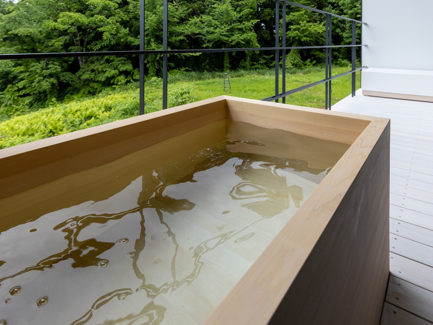 醸す森 [kamosu mori] 写真