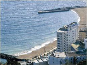 熱川温泉 熱川大和館