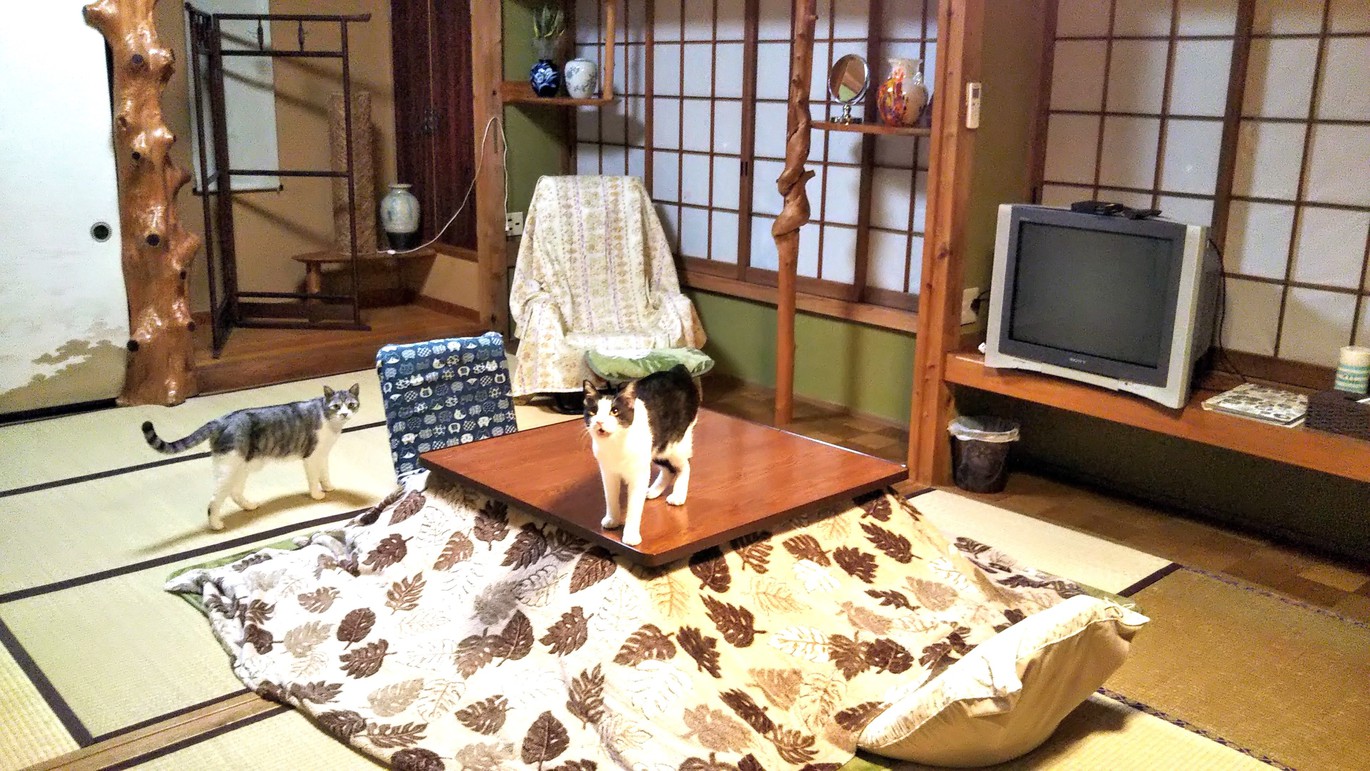 写真：楽天トラベル