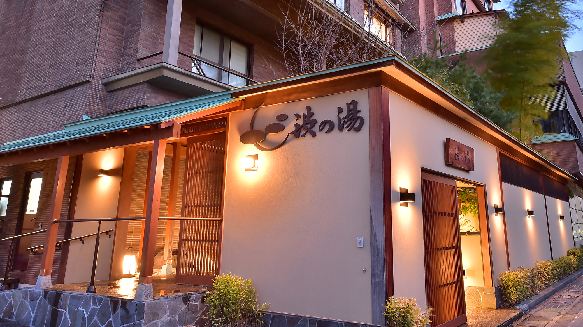 上諏訪温泉 かけ流し源泉の宿 渋の湯