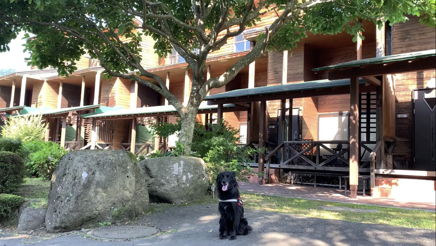 ガルニヴィレッジ