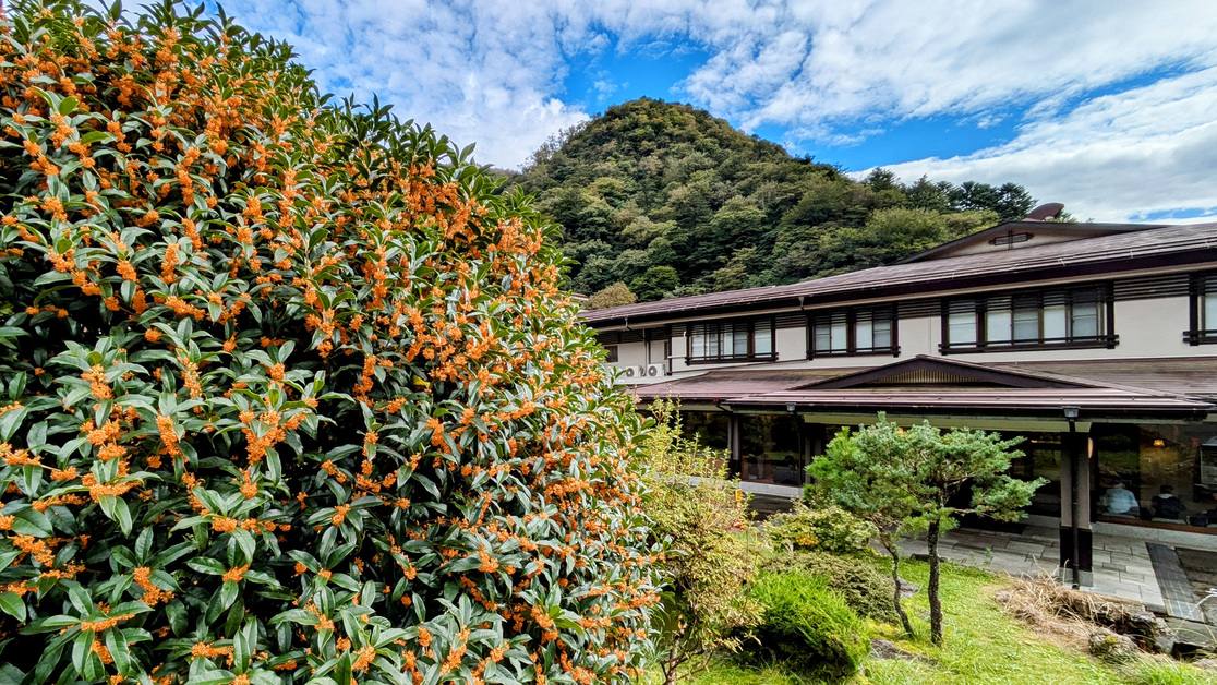 写真：楽天トラベル