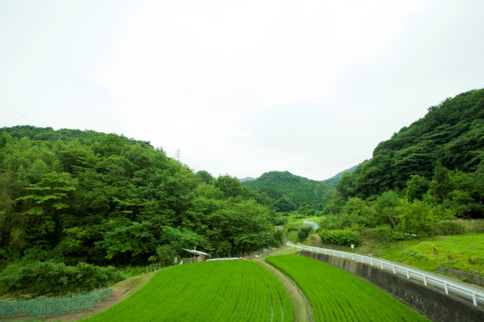湯端温泉 写真