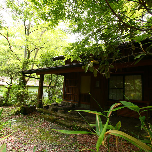 喜神（きじん） 写真