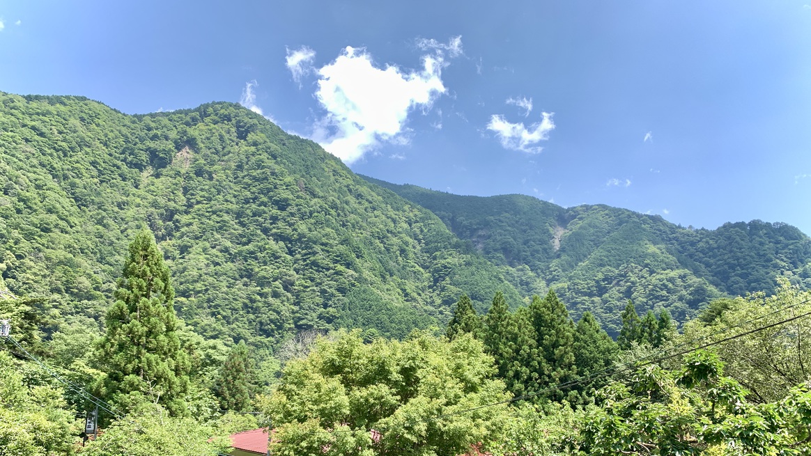 静岡温泉 貸切風呂 大野木荘 写真