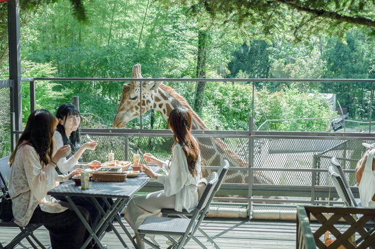 写真：楽天トラベル