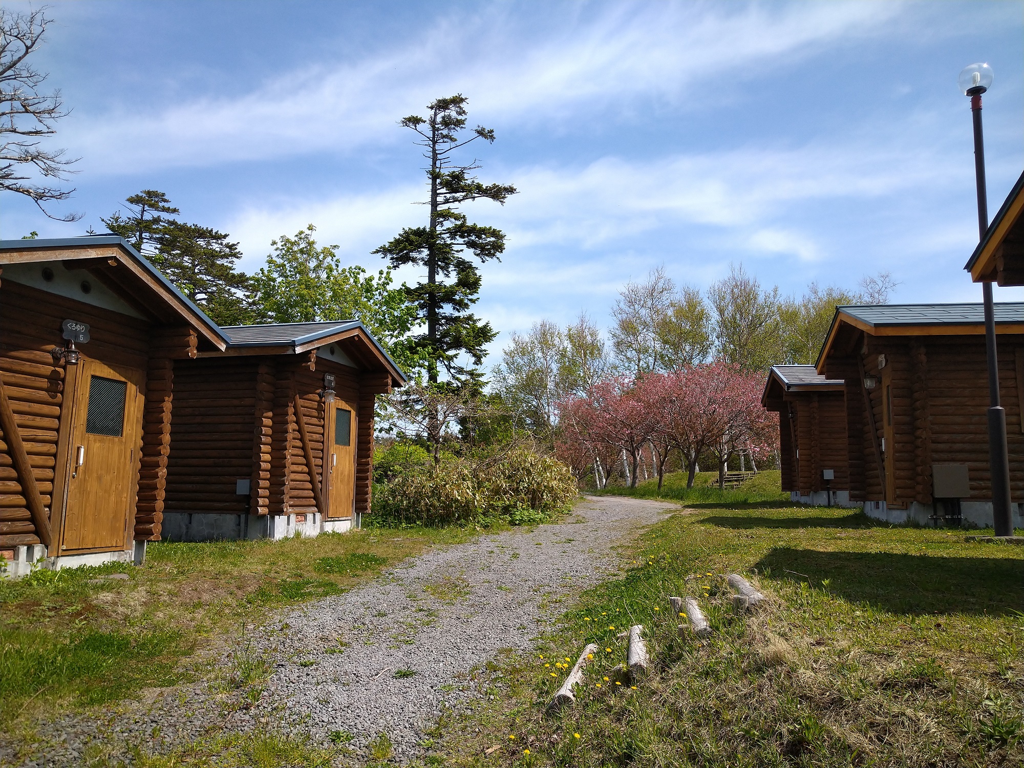利尻町森林公園キャンプ場