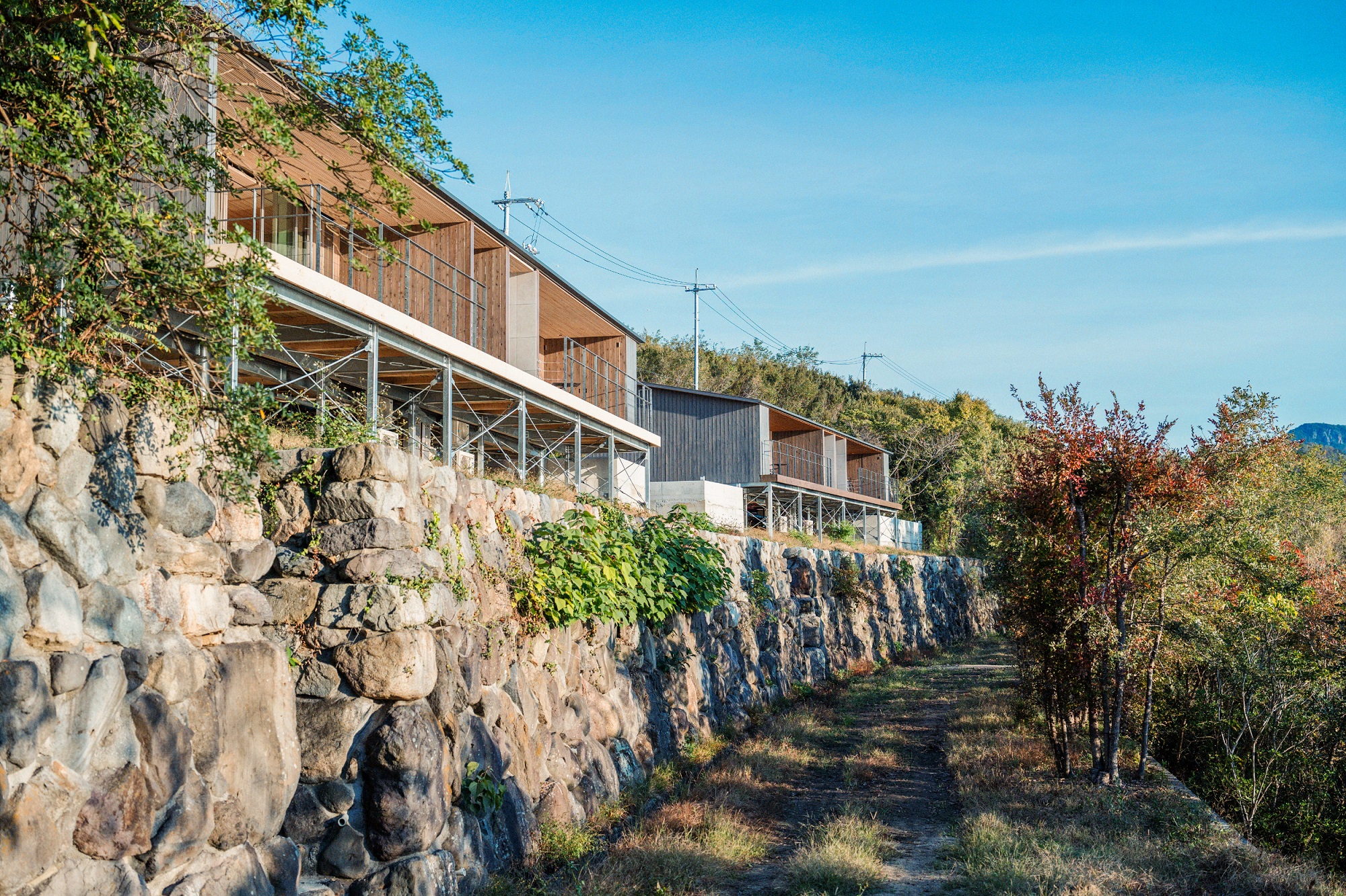 千年オリーブテラス for your wellness The STAY