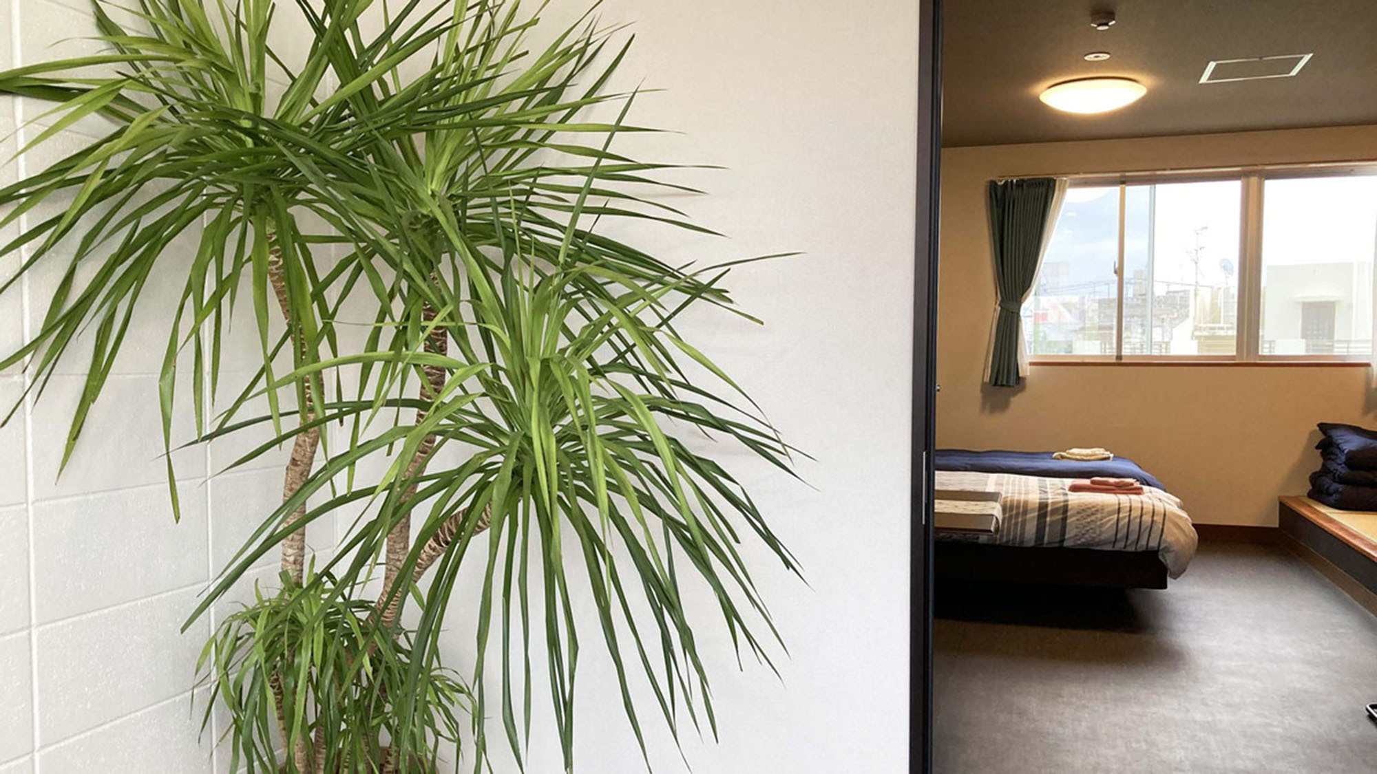 コンドホテル JOY INN 写真