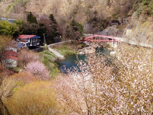 写真：楽天トラベル