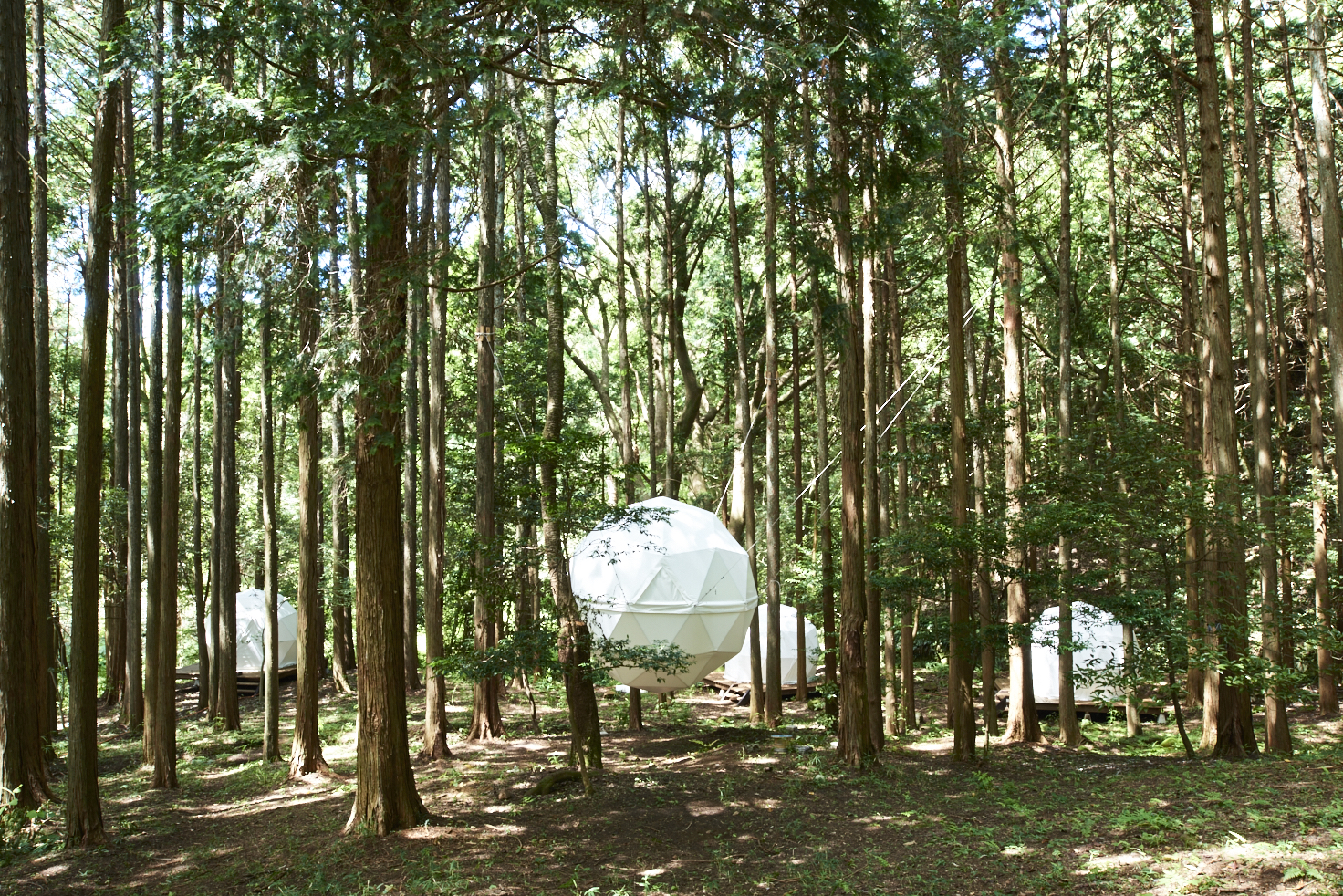 泊まれる公園 INN THE PARK 沼津