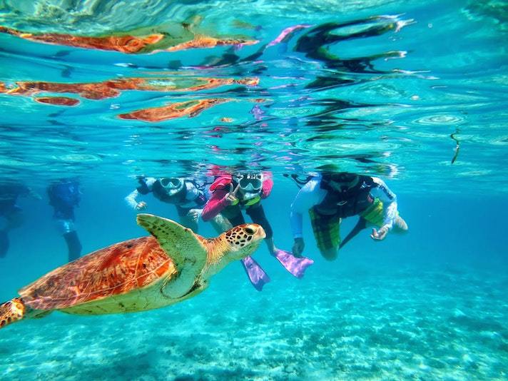 写真：楽天トラベル
