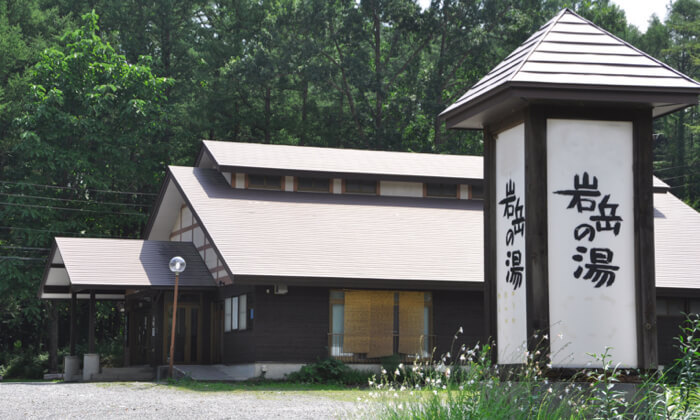 Hakuba Iwatake Apartments 写真