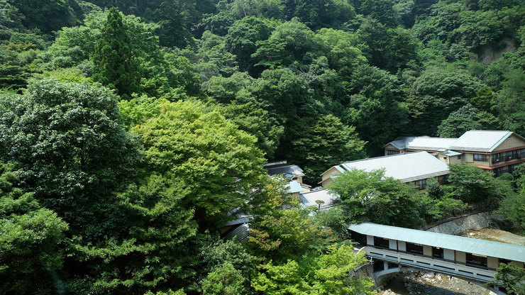 写真：楽天トラベル