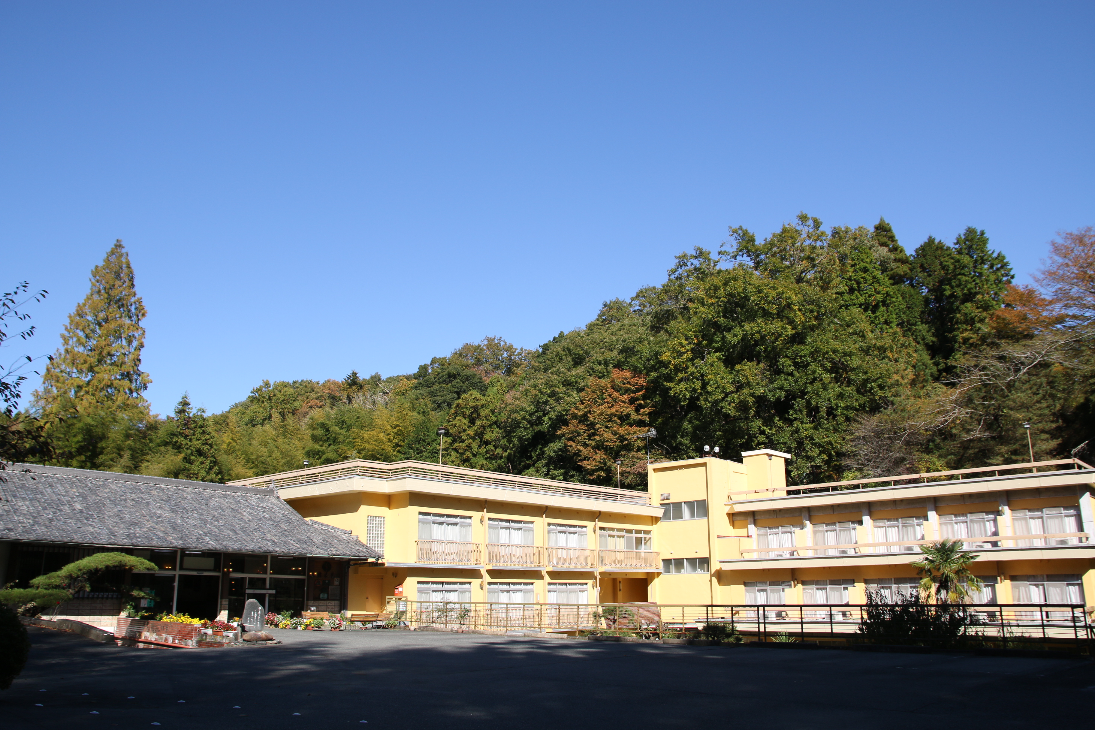 春木屋旅館 写真