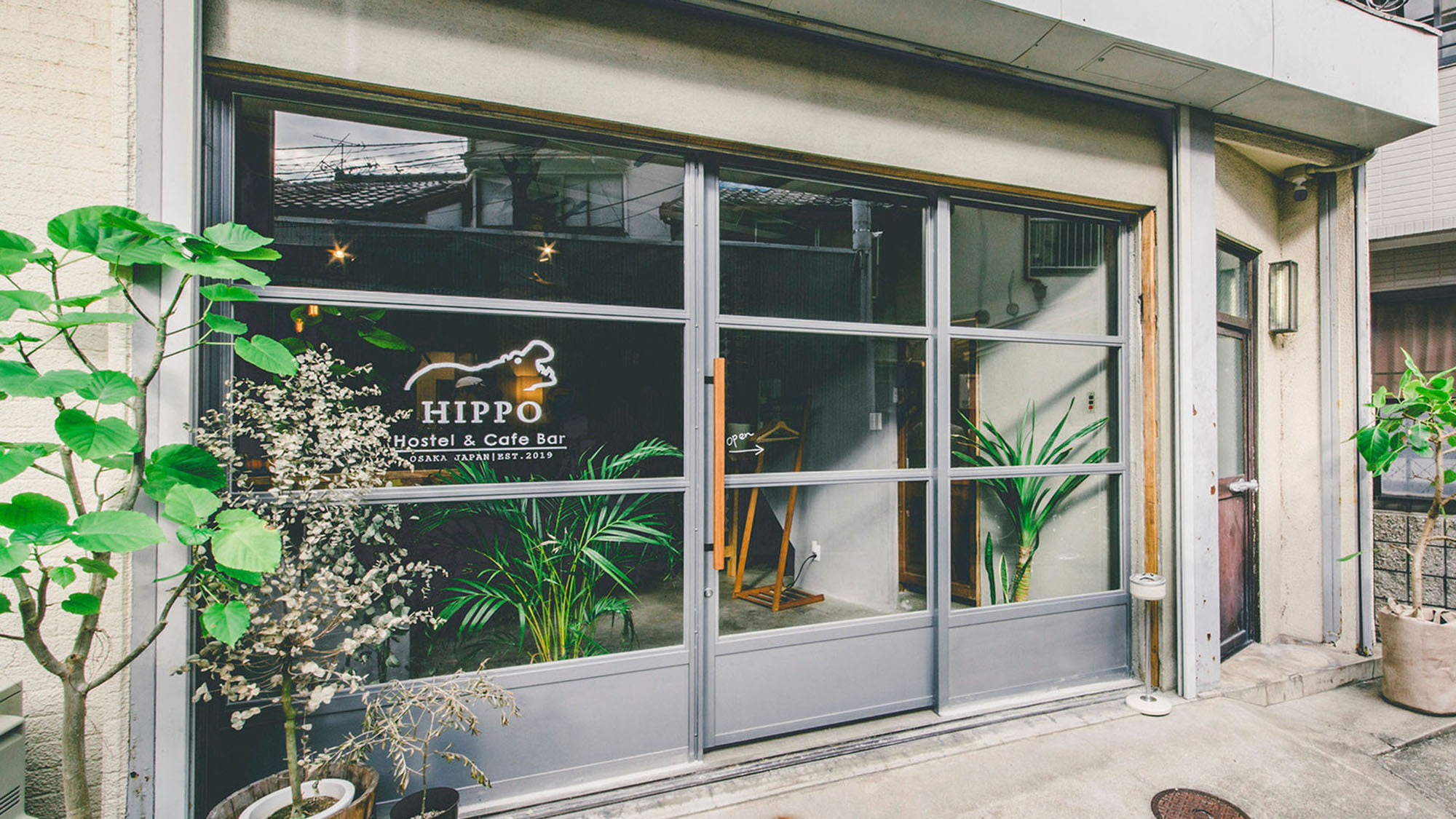 HIPPO Hostel & Cafe Bar