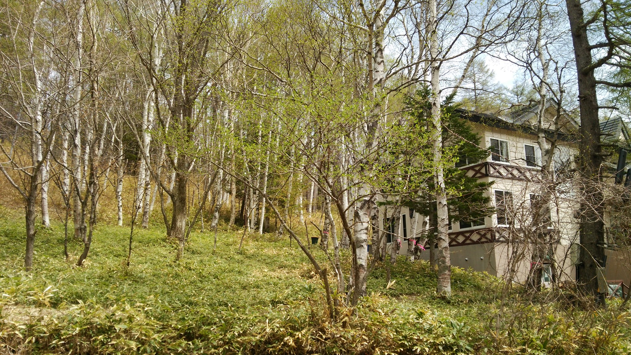 ペンション ぷちはーぶ