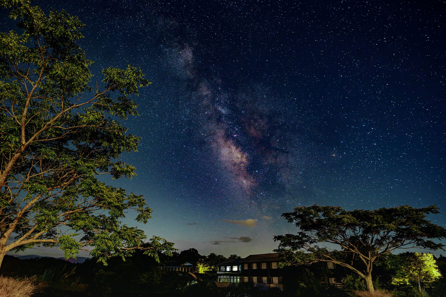 写真：楽天トラベル