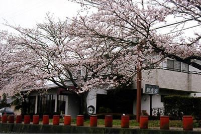 ペンション紫香楽 写真