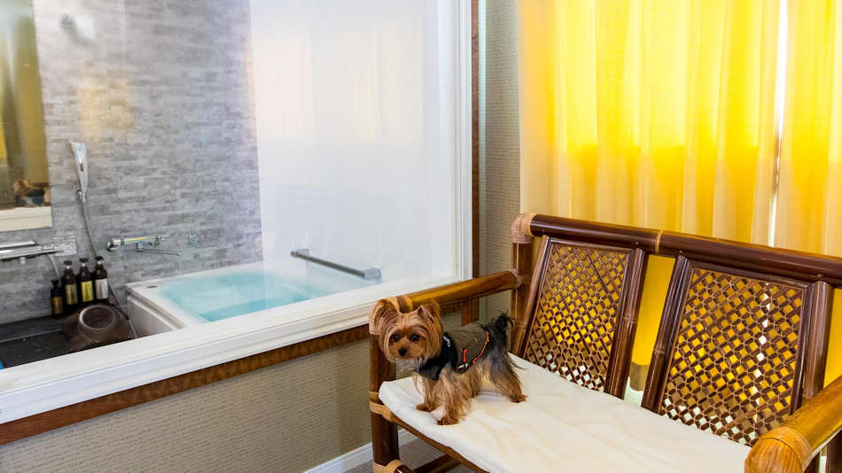 愛犬と過す海辺のお宿　ムーン・リバージュ． 写真