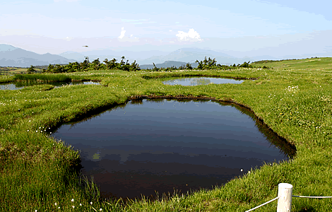 越後湯沢の温泉宿・湯沢スキーハウス 写真