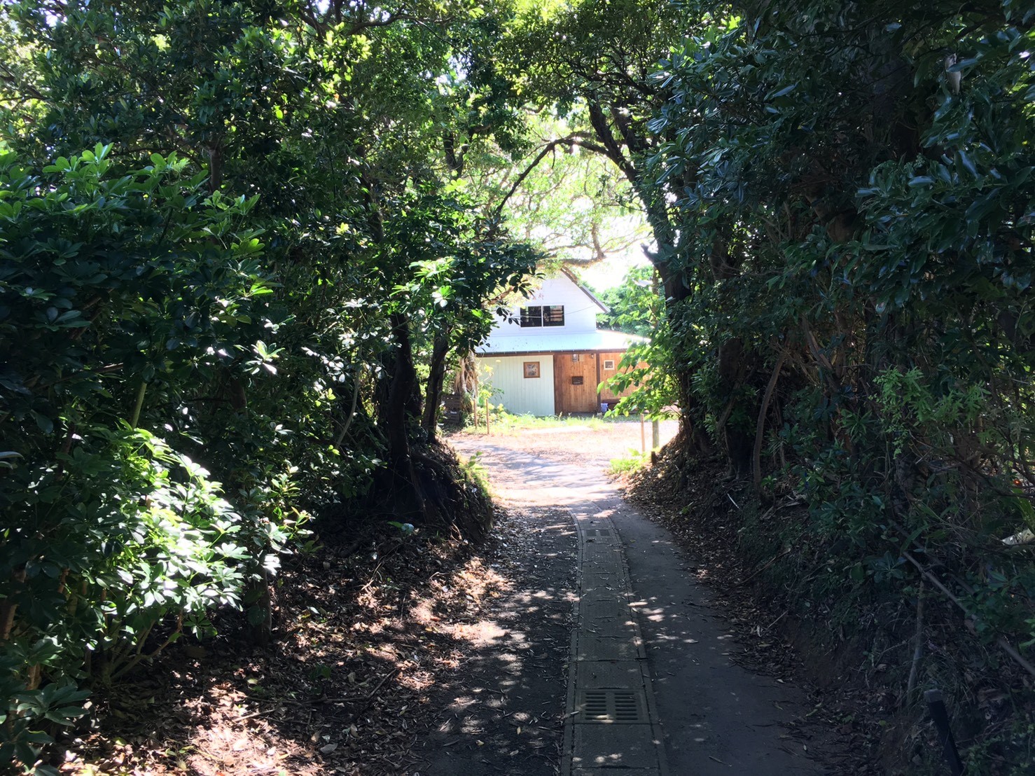 Mar San広場＜奄美大島＞