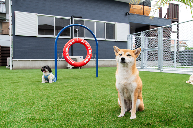 Dog Villa SAMPO 写真
