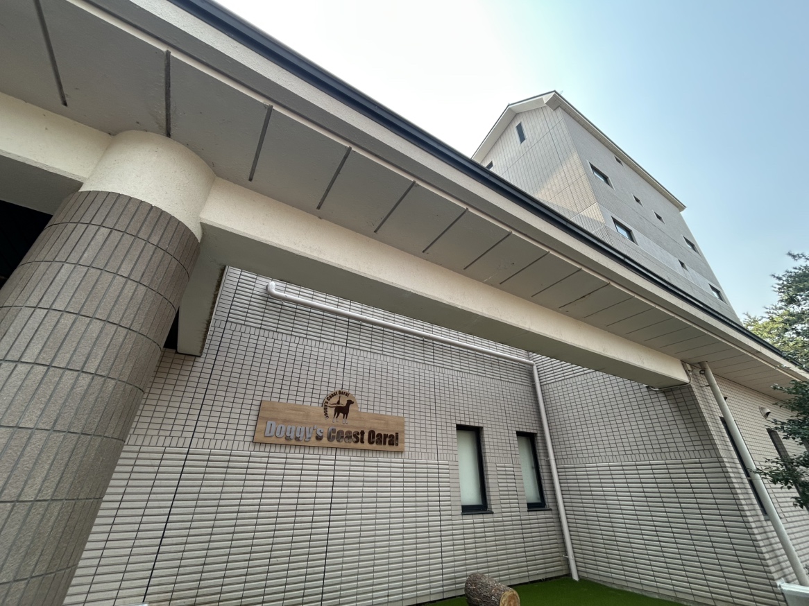 Doggy's Coast Oarai