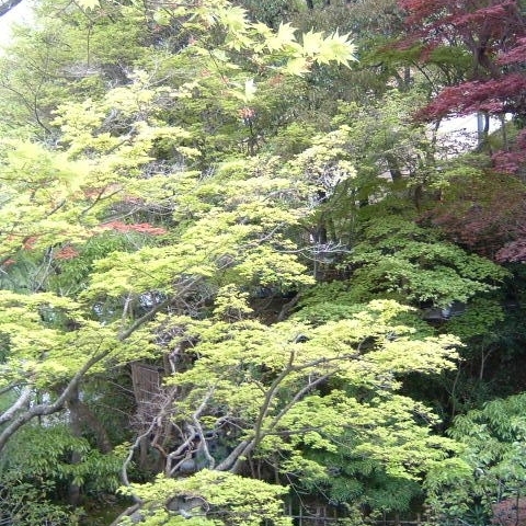 写真：楽天トラベル