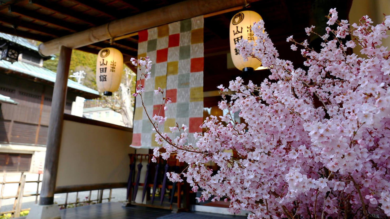 写真：楽天トラベル