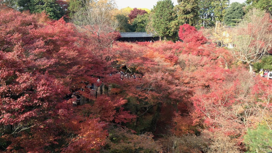 写真：楽天トラベル