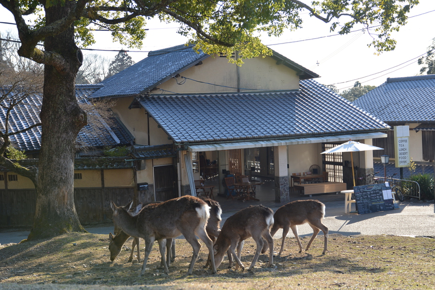 写真：楽天トラベル