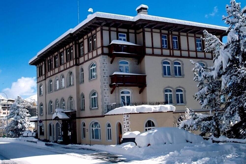 ソルダネラ 写真