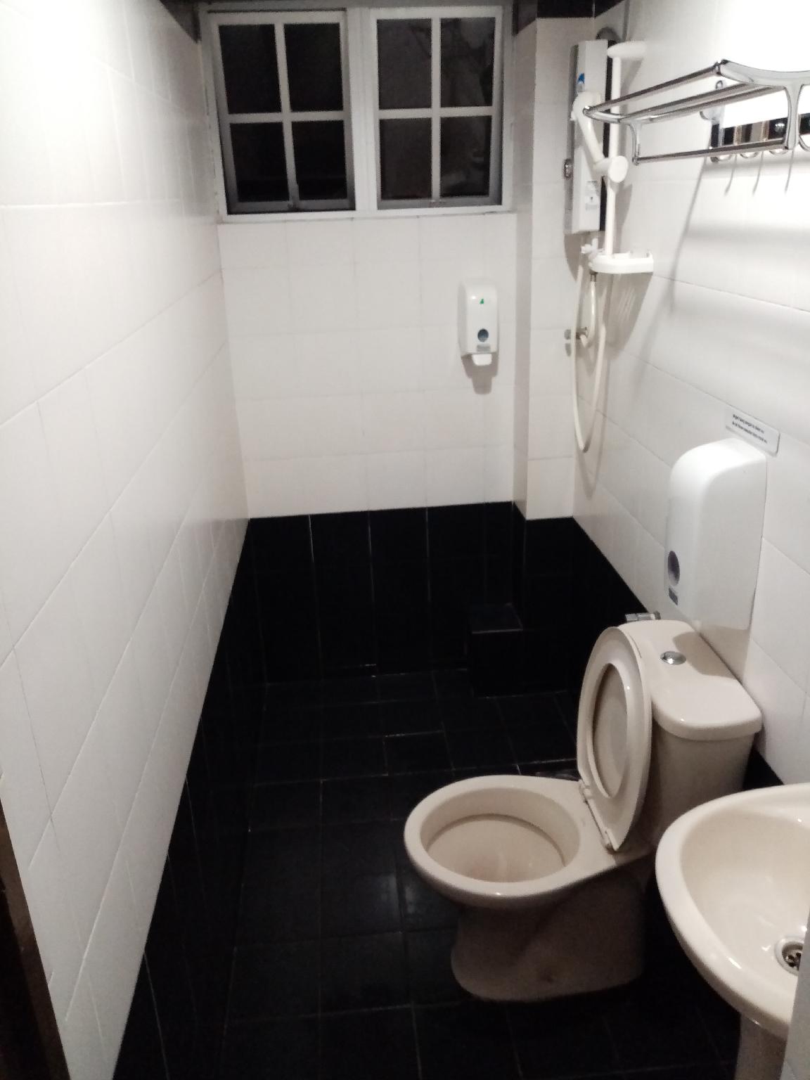 THE BEAUTIFUL MARIGOLD HOTEL 写真