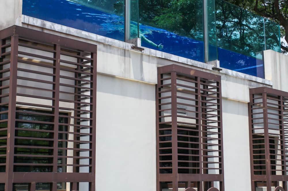 ノスタルジア ホテル 写真